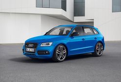 Audi SQ5 TDI plus