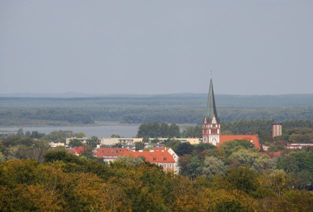 Pod wpływem narkotyków obdarł kota żywcem ze skóry