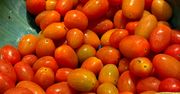 Czy warto płacić więcej za pomidorki koktajlowe?