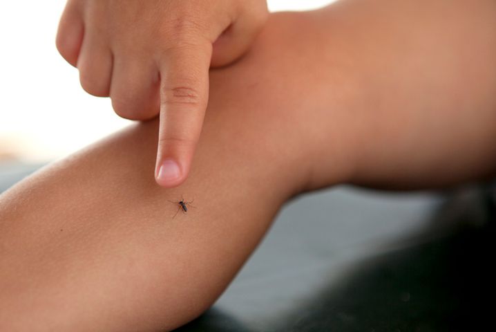 Domowy sposób na komary. Jak uniknąć uciążliwego swędzenia?