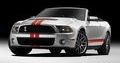 Ford Shelby GT500