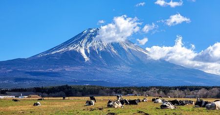 Po długiej przerwie śnieg powraca na górę Fuji – symbol Japonii w zimowej odsłonie
