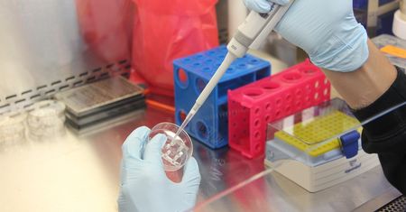 Trwa dezynfekcja wodociągów w Rzeszowie. Prezydent miasta relacjonuje przebieg walki z epidemię zakażeń legionellą