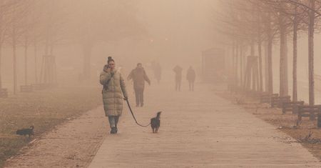 IMGW ostrzega: silny wiatr i gęste mgły w nadchodzących dniach