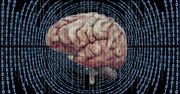 Neuralink Muska: pomiędzy mózgiem a maszyną – pionierskie testy na ludziach