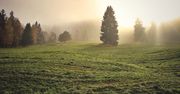 Tydzień zacznie się pochmurną pogodą oraz iście wiosennymi temperaturami