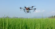 W ANS w Pile kształcić będą pilotów bezzałogowych statków powietrznych