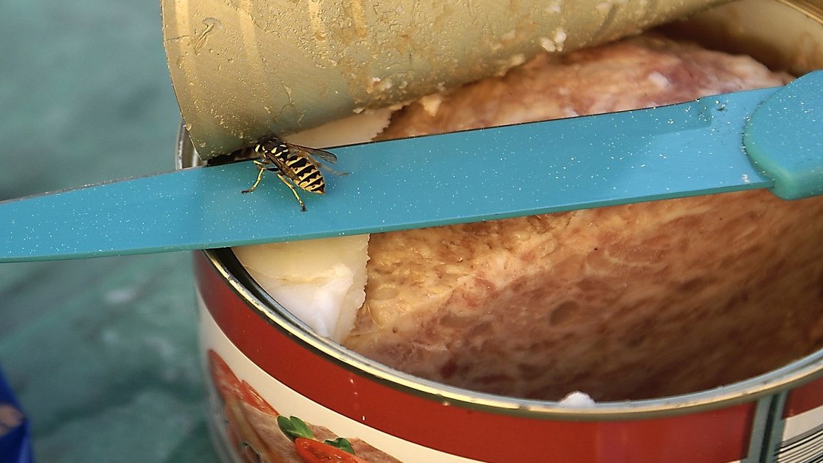 Takiej konserwy nie kupuj. W głowie powinna się zapalić czerwona lampka. Fot. Pixabay