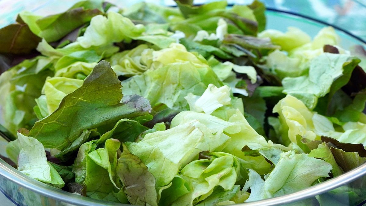 Kroisz sałatę takim nożem? Wiele osób popełnia ten błąd . Fot. Pixabay