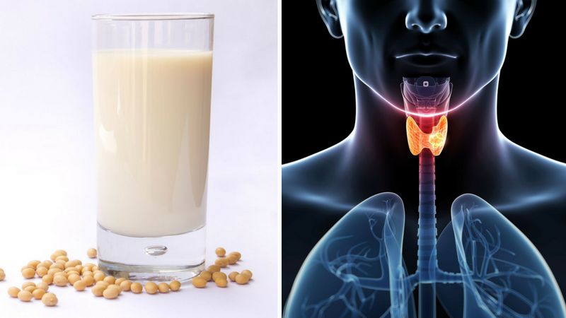 Mleko sojowe może zwiększać ryzyko raka piersi