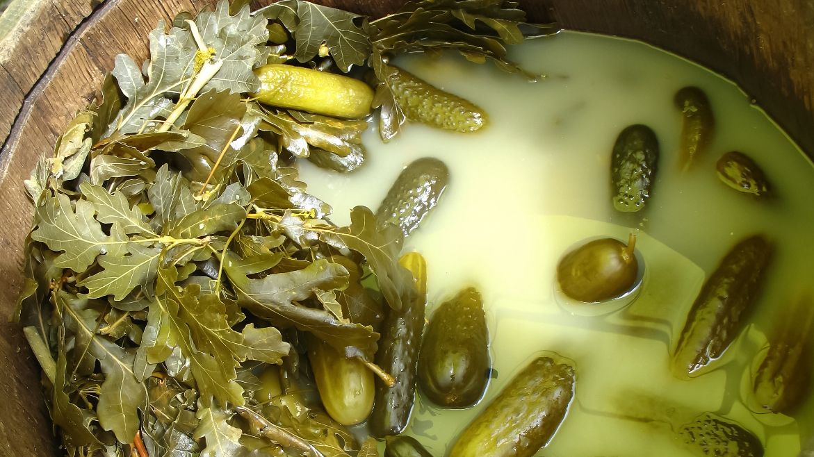 Ogórki kiszone, choć zdrowe, nie są dla każdego. Te osoby muszą ich unikać