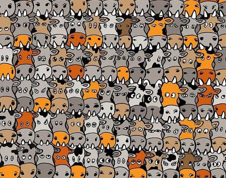 Sprawdź, czy jesteś bystry? Wśród krów znajduje się pies. Umiesz go wskazać?