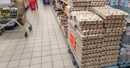 Ostrzeżenie GIS. Na skorupkach jaj wykryto obecność groźnych bakterii