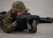 "Żubr" wzmocni polską armię
