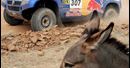 29. Rajd Dakar: Sainz wygrał drugi etap