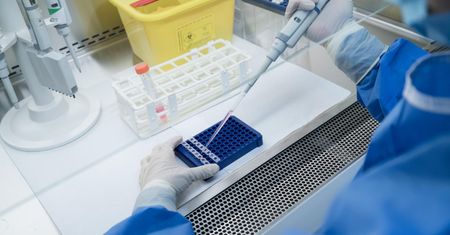 Immunoterapia w służbie serca. Naukowcy opracowali nową strategię walki z miażdżycą