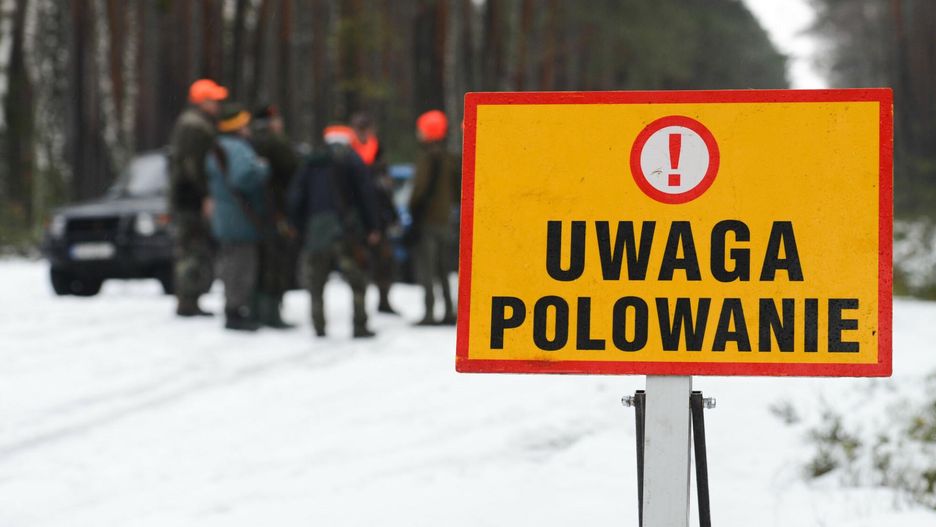Dzieci będą mogły brać udział w polowaniach? Szykują się zmiany w prawie