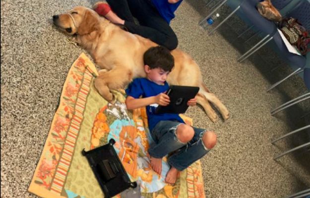 Autystyczny chłopiec po raz pierwszy w życiu daje się dotknąć psu-terapeucie