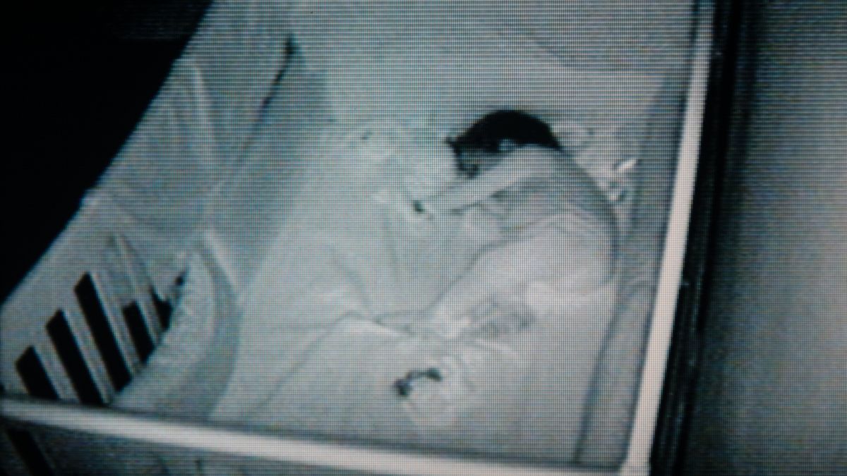 Mama zauważyła pierwsze objawy cukrzycy. "Jej pieluszka była ciągle mokra"