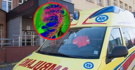 "Straszna choroba". Najwięcej zakażonych w Łódzkiem i na Mazowszu
