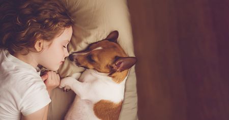 Pies dla alergika. Jakie rasy będą odpowiednie?