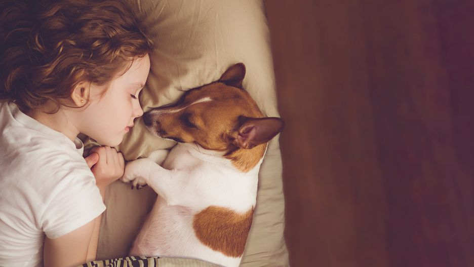 Pies dla alergika. Jakie rasy będą odpowiednie?
