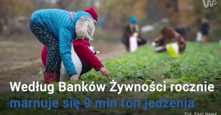 Marnotrawstwo żywności. Tutaj "brzydkie" warzywa kupisz taniej (WIDEO)