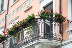 4 jadalne kwiaty, które możesz posadzić na balkonie. To polifenolowa bomba
