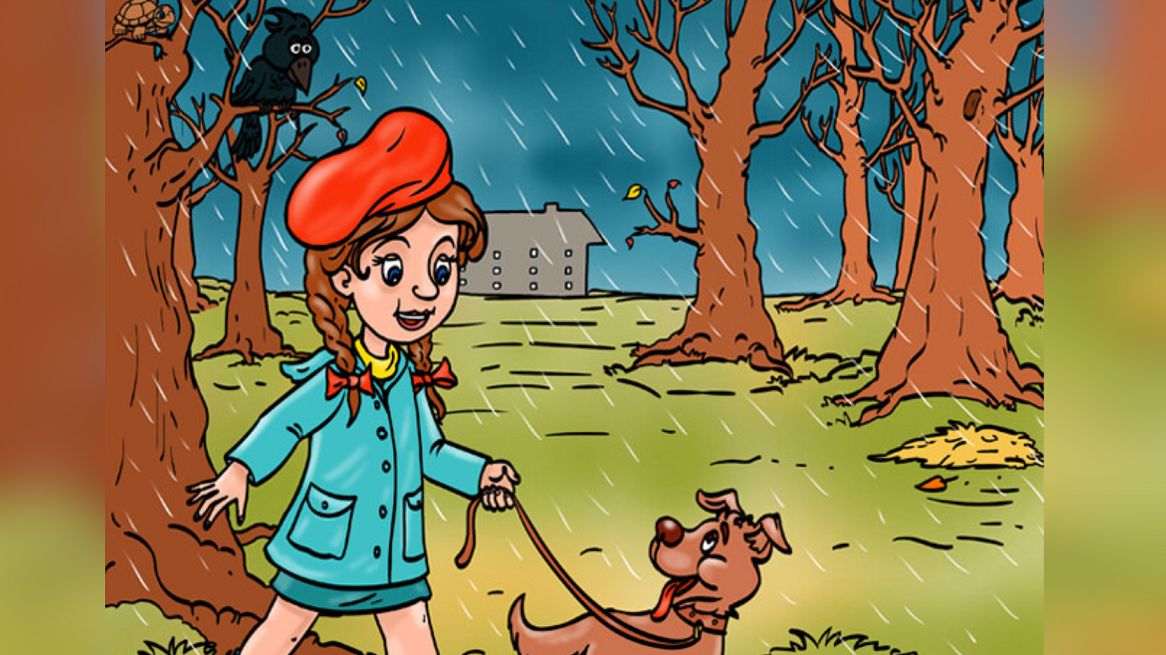 Test obrazkowy. Masz 10 sekund