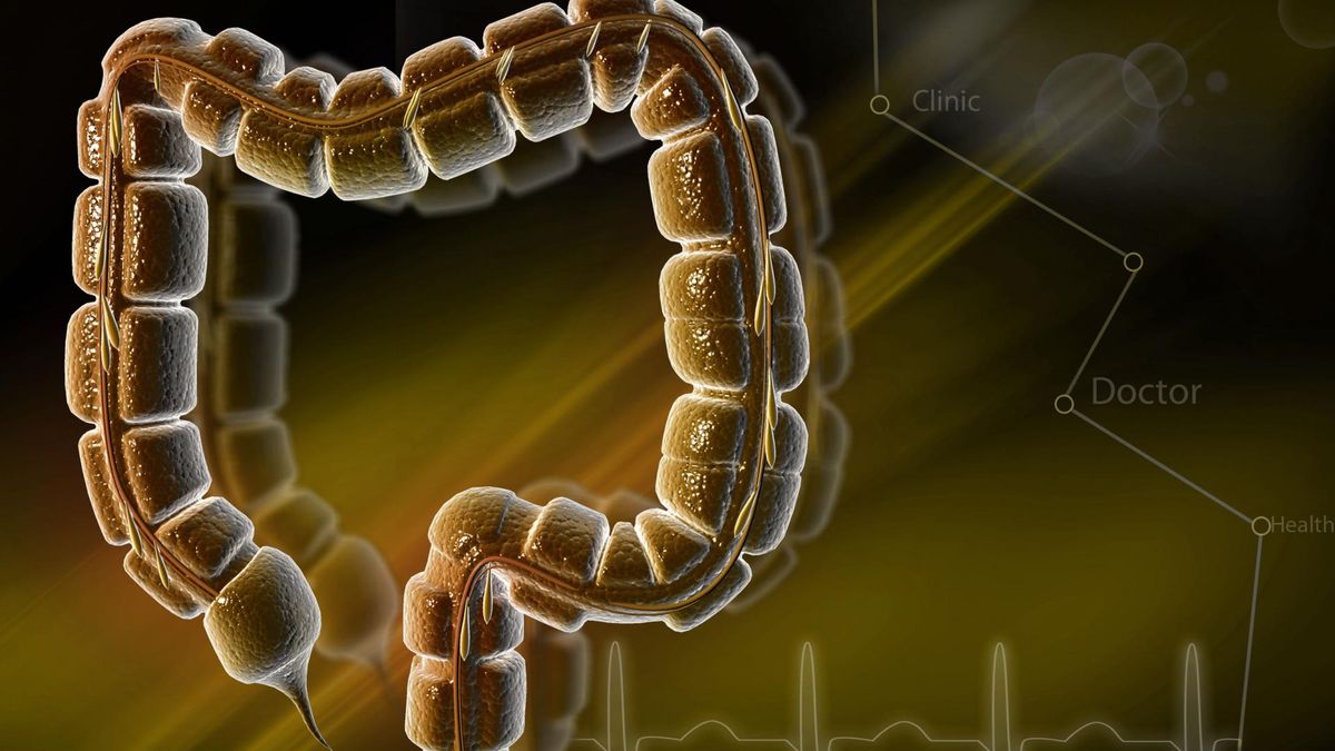 Jak rozpoznać owsicę u dziecka?