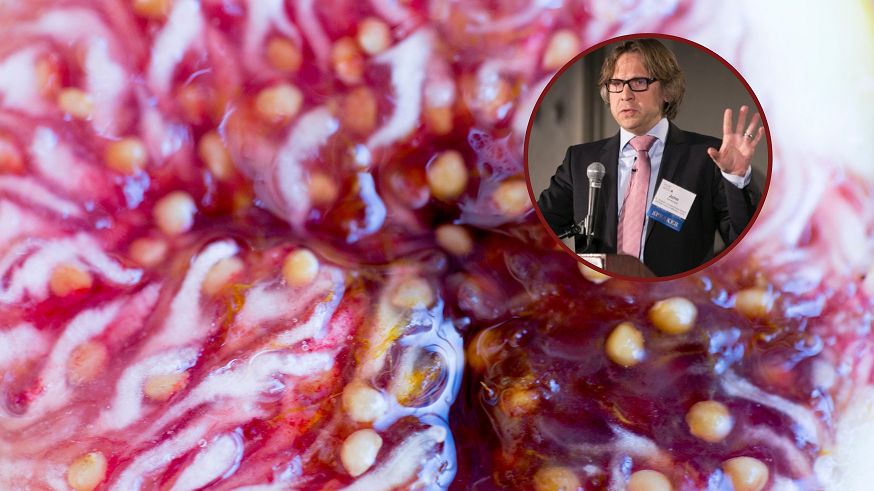 Obniżają ciśnienie krwi. Ich spożywanie zmniejsza ryzyko zawału serca i udaru mózgu