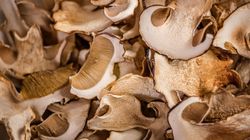 Pojawiły się w lasach. Grzybiarze zacierają ręce