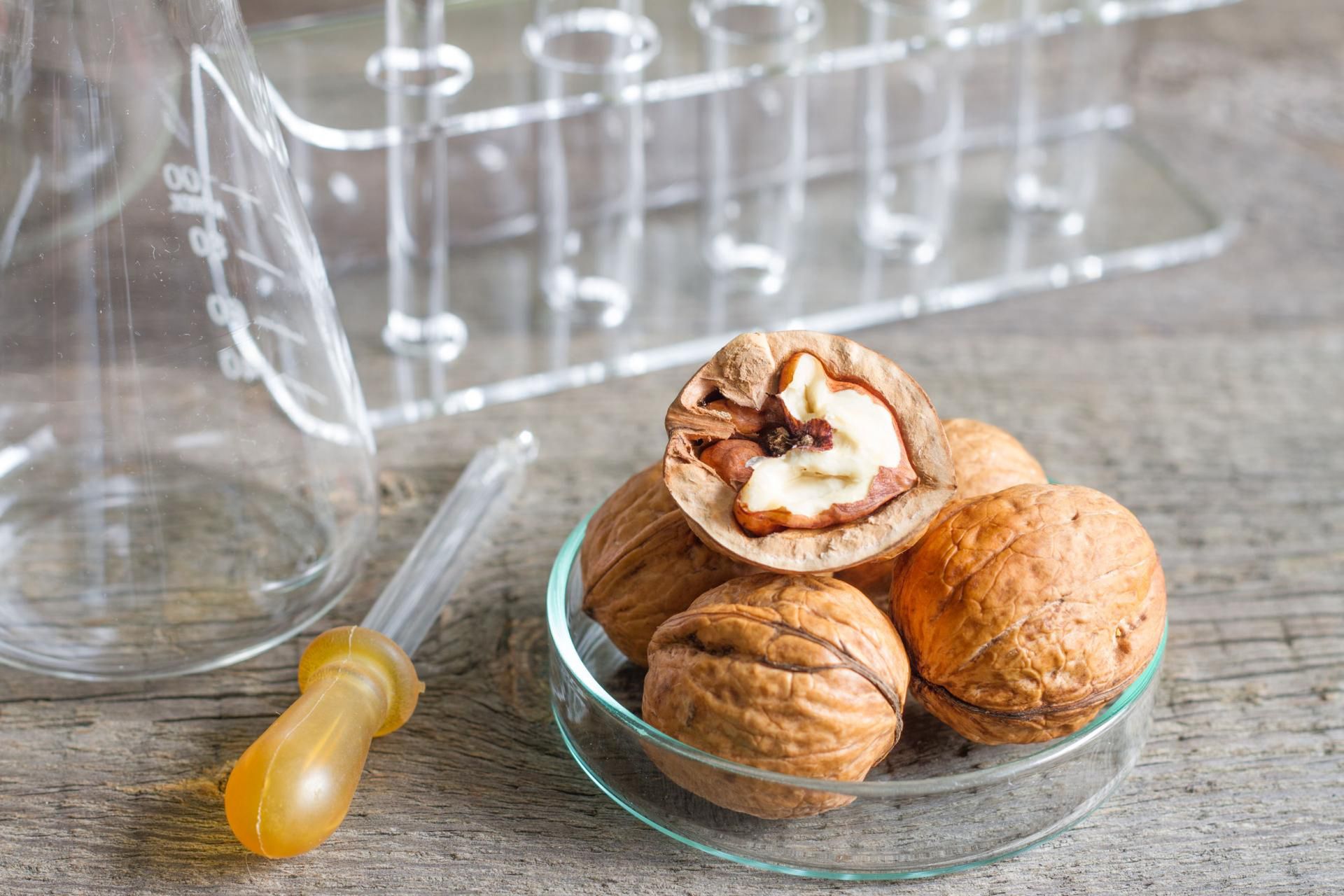 Alergia pokarmowa jest dziedziczna