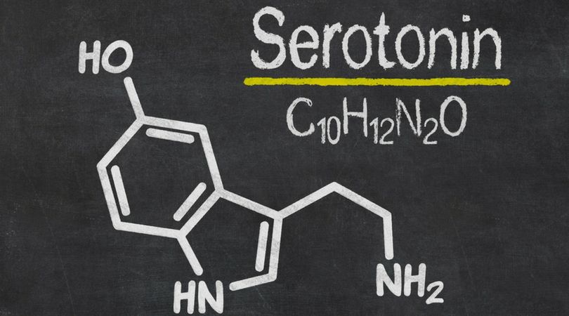 Serotonina odgrywa bardzo ważną rolę w naszym organizmie. Wpływa na percepcje, pamięć oraz sen