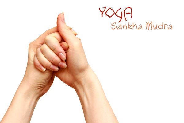 Shankha-Mudra (Mudra muszli)