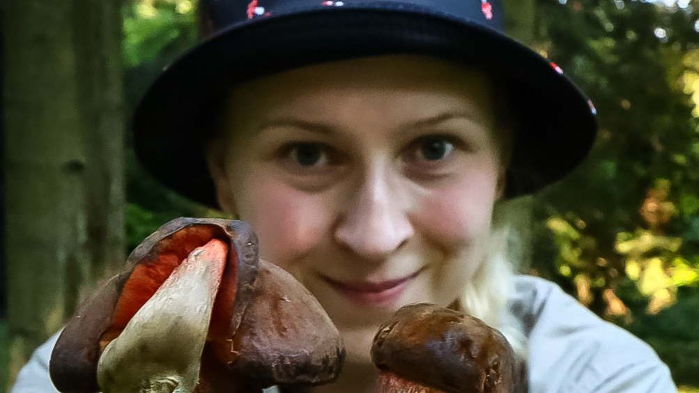 Nie czekaj do jesieni. Gdzie na grzyby w czerwcu?