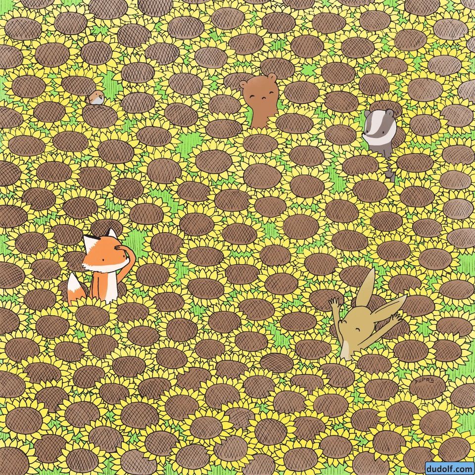 Test na spostrzegawczość