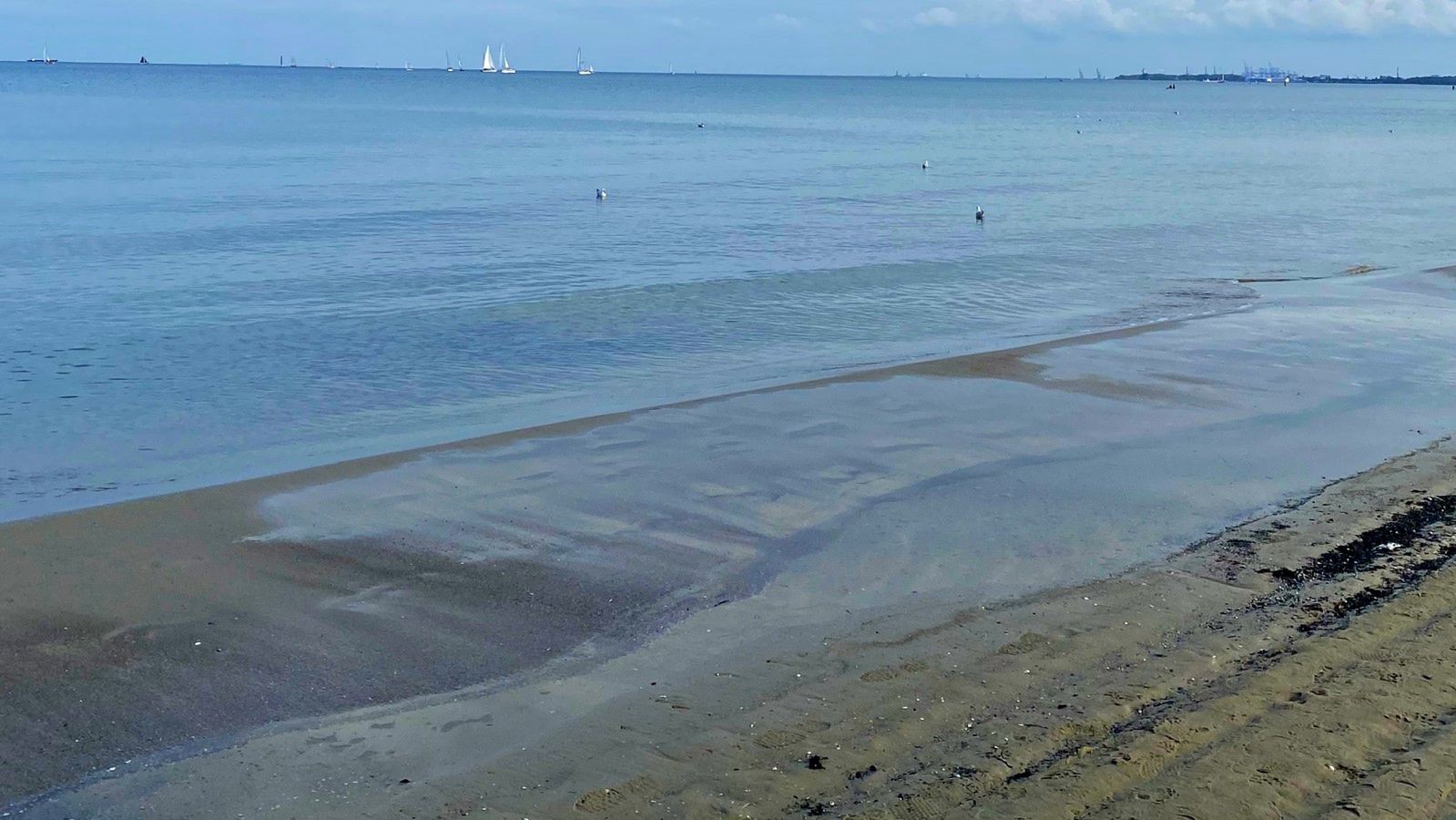 Morsowanie i zimne prysznice to praktyki, które przynoszą wiele korzyści zdrowotnych, od wzmocnienia odporności, przez poprawę krążenia, po redukcję stresu.