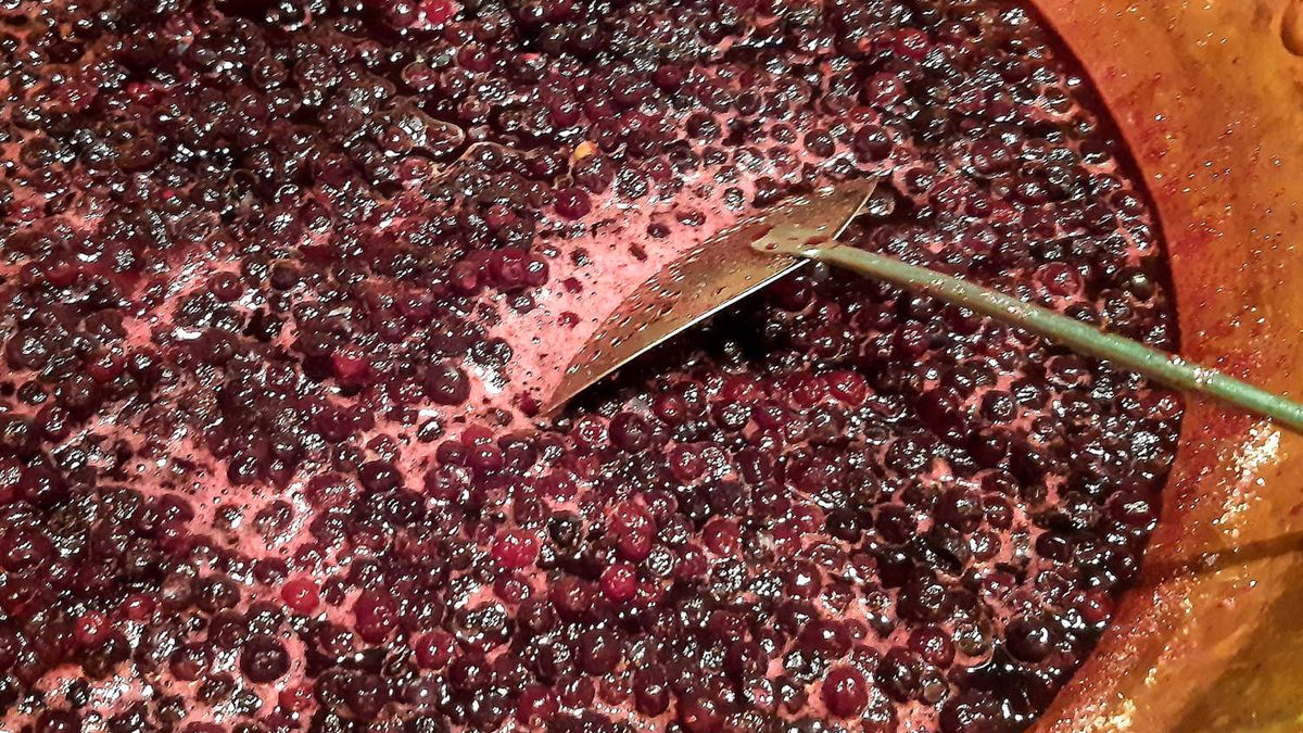 Prof. Paluch przyznaje, że winogrona są nieocenione dla chorych z niewydolnością żylną