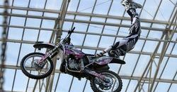 Uczta dla fanów motoryzacji w Toruniu