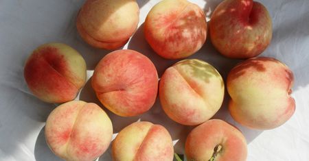 Fruktoza – gdzie występuje i czy jest szkodliwa?