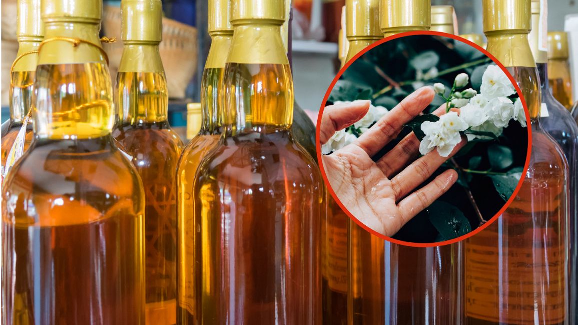 Nalewka jaśminowa ma właściwości prozdrowotne