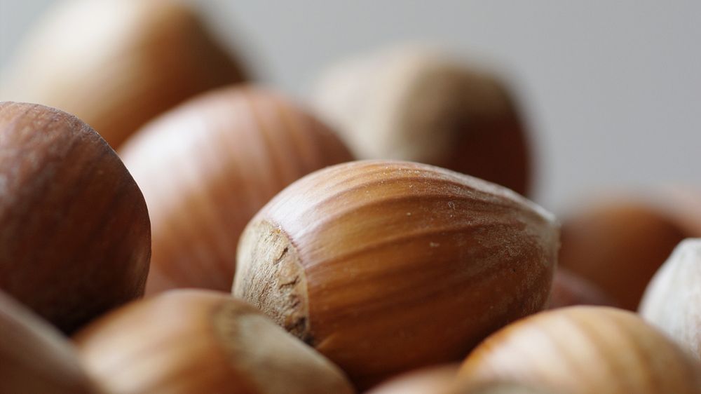 Orzechy kryją prawdziwe bogactwo cennych składników odżywczych