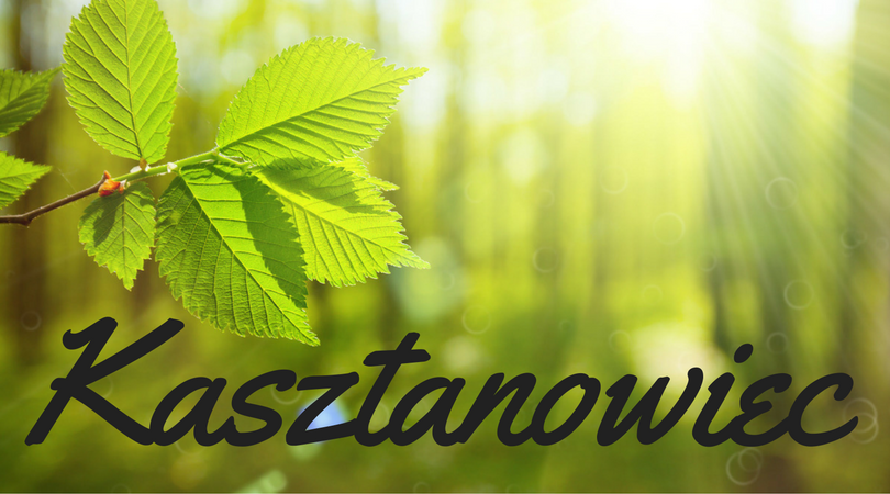 Kasztanowiec i jego wpływ na organizm