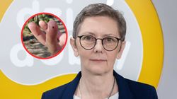 "Mistrzyni kamuflażu". Zakaźnik mówi, jak poznać boreliozę