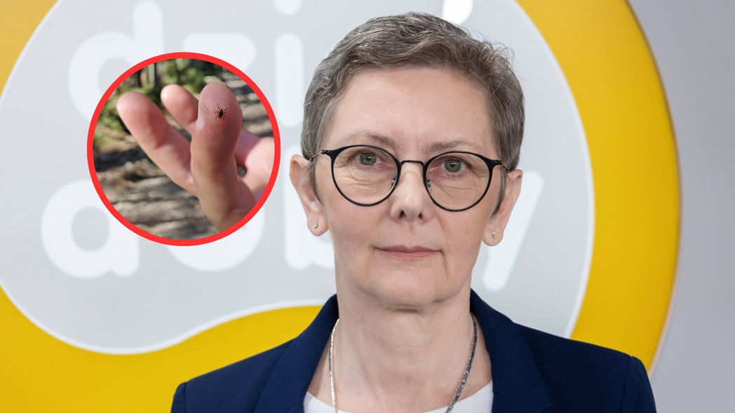 Ponad 8,6 tys. przypadków boreliozy. Prof. Zajkowska pracuje nad szczepionką na tę chorobę