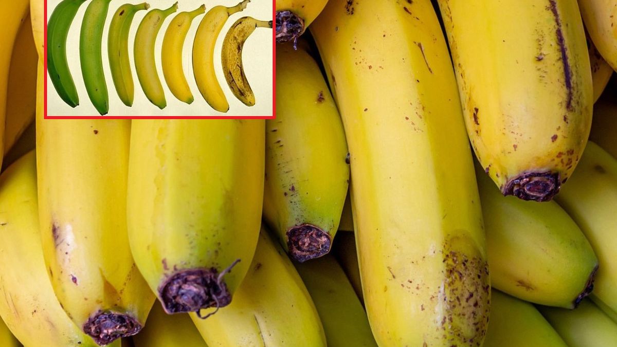 Co kolor bananów mówi o ich właściwościach? Te są najzdrowsze