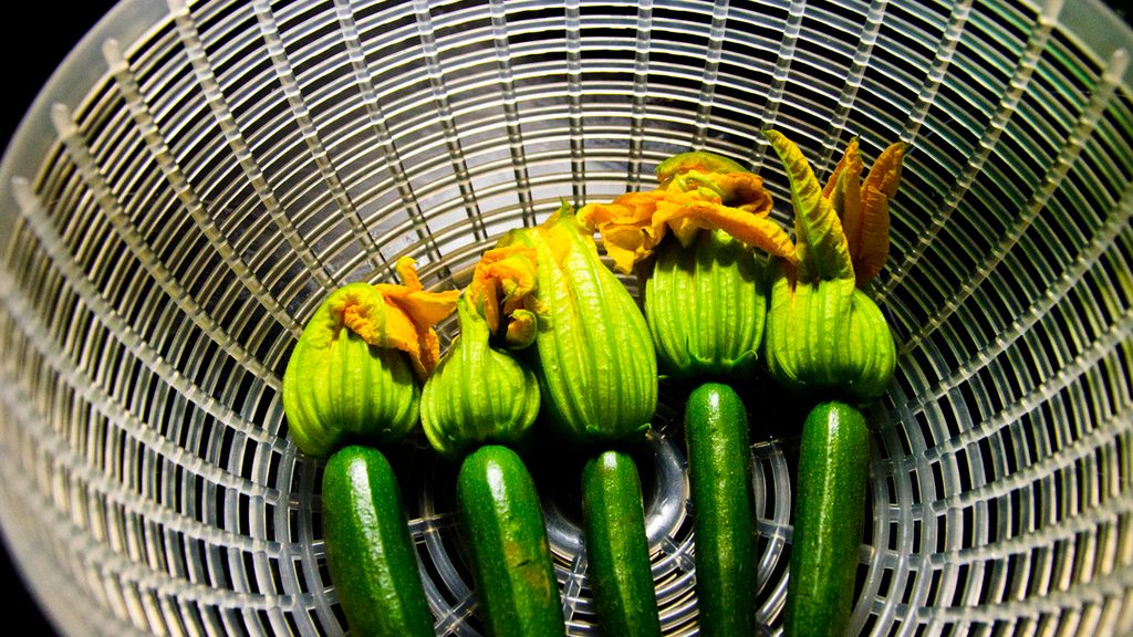 Sałatka z cukinii ze słoika