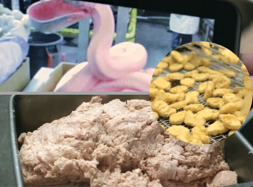 Produkcja nuggetsów