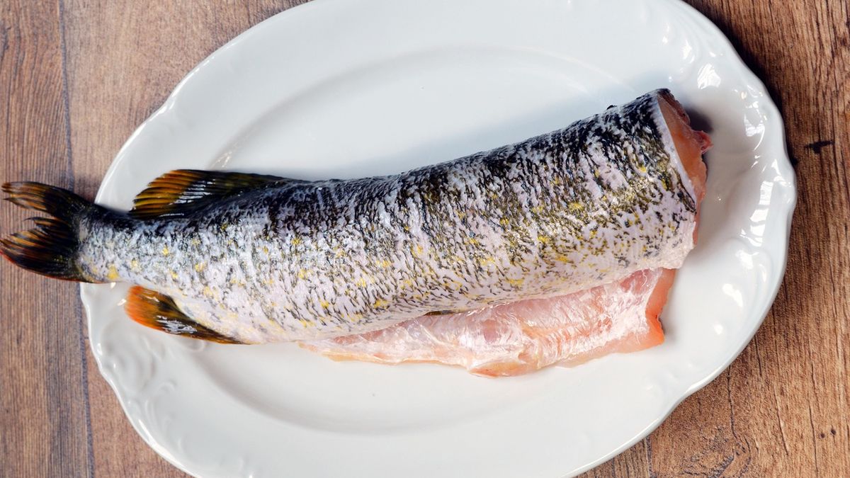 Szczupak to ryba słodkowodna.